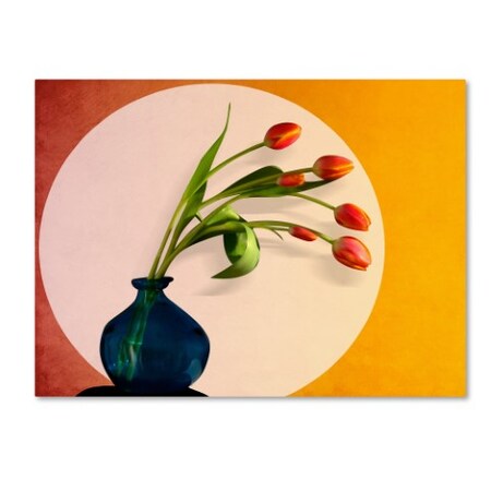 Trademark Fine Art Mark Ashkenazi 'Tulips 3' Canvas Art, 24x32 ALI7871-C2432GG